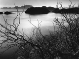 Cliff Overlooking Bay Photographic Print by Brett Weston