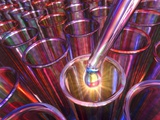 Scientific sample Photographic Print