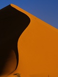 Tree and Sand Dune, Namib Desert Photographic Print by Darrell Gulin