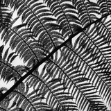 Fern Leaf Silhouette Photographie par Brett Weston