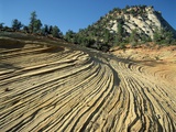 Layers of Navajo Sandstone in Zion National Park Photographic Print by Tom Bean