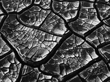 Dry Cracked Mud Photographic Print by Brett Weston