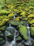 Stream Flowing Through Moss Covered Rocks Photographic Print by Darrell Gulin