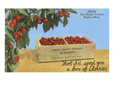 Cherries, Grand Traverse Region, Michigan Posters