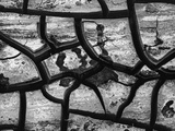 Cracks In Dry Mud Photographic Print by Brett Weston