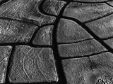Mud Cracks by Brett Weston Fotografie-Druck von Brett Weston