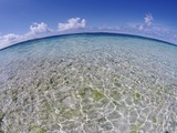 Clear Tropical Waters at Pitcairn Islands Photographie par Darrell Gulin