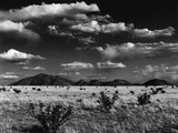 Desert Plain Photographic Print by Brett Weston