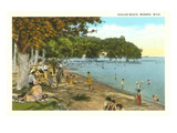 Avalon Beach, Monroe, Michigan Posters
