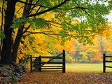 Fall Foliage Surrounds an Open Gate Fotografisk trykk av Kathleen Brown