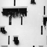 Puerto Vallarta Photographic Print by Brett Weston
