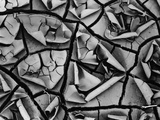 Mud Cracks by Brett Weston Photographic Print by Brett Weston