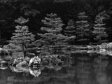 Pond and Pines Fotografie-Druck von Brett Weston