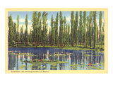 Xochimilco, Floating Gardens Print