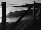 Fence and Hills, Big Sur, 1962 Fotografie-Druck von Brett Weston