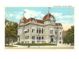 City Hall, Flint, Michigan Print