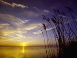 Sunset on the Barnegat Bay and Sea Oats Fotografisk tryk af Bob Krist Sunset on the Barnegat Bay and Sea Oats Fotografisk tryk af Bob Krist