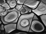 Cracked Mud, 1969 Photographic Print by Brett Weston