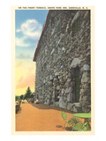 Grove Inn Park, Asheville, North Carolina Posters