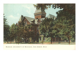 University Museum, Ann Arbor, Michigan Prints
