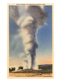 Giant Geyser, Yellowstone Park, Montana Poster