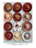 Mexican Sombreros, Art Print