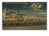 Pier and Concert Hall at Night, Ocean City, New Jersey Posters
