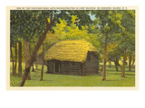 Reconstructed Hut, Roanoke Island, North Carolina Poster