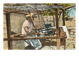 Serape Weaver, Texcoco, Mexico Posters
