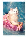 White Kitten in Basket, Retro Prints