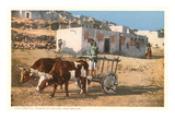 Ochsenkarre, Laguna Pueblo, Neu-Mexiko Foto