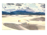 White Sands, New Mexico Poster
