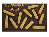 Nebraska Gold, Ears of Corn Posters