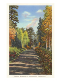Indian Summer in Ironwood, Michigan Posters