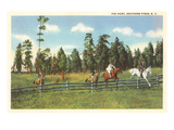 Fox Hunt, Southern Pines, North Carolina Photo