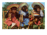 Three Chimpanzees with Brass Instruments and Hats Plakater Three Chimpanzees with Brass Instruments and Hats Plakater