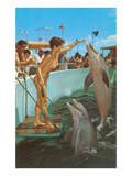Lady in Bikini Feeding Porpoise Photo