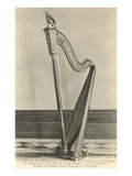 Photo of Harp in Napoleon's House Posters