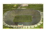University Stadium, Ann Arbor, Michigan Posters