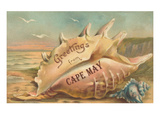 Greetings from Cape May, New Jersey Posters