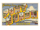 Greetings from Port Huron, Michigan Poster