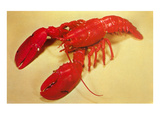 Red Lobster Kunstdrucke