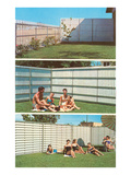 Fencing Advertisement Prints