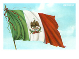Mexican Flag Print