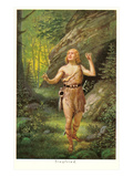 Siegfried Prints