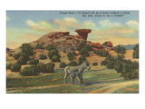 Burros by Camel Rock, Pojoaque, New Mexico Prints