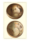 Hopi Food Bowls from Sikyatki Prints
