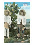 Indians from Central Mexico Posters