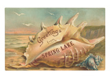 Greetings from Spring Lake, New Jersey Posters