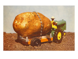 Giant Potato on Toy Tractor Posters